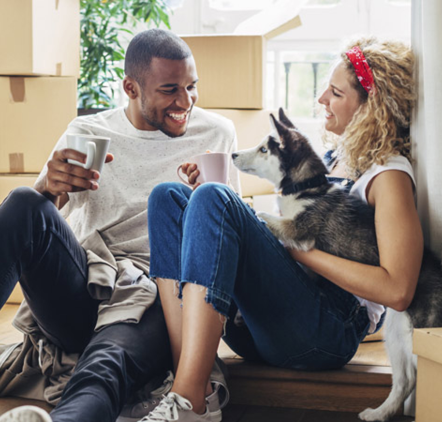 Couple with dog moving house