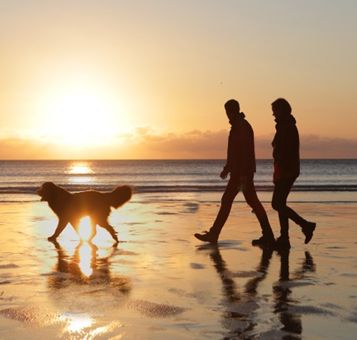 Couple walking on beach with dog