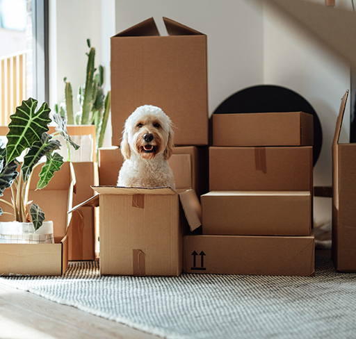 how-refinancing-works