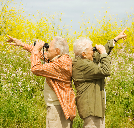 Old Couple viewing long site