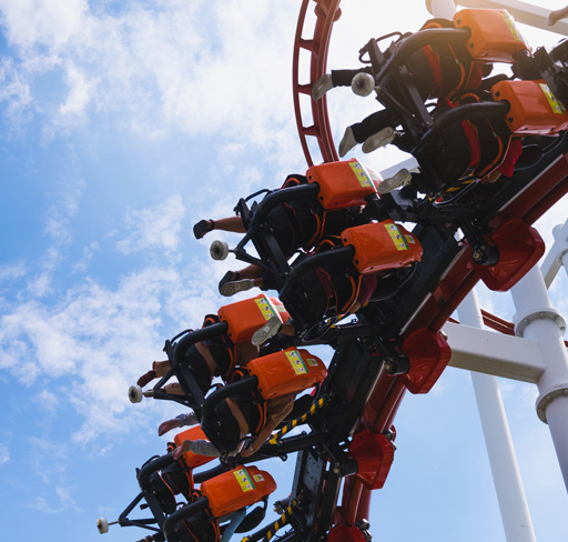 Roller Coaster Ride