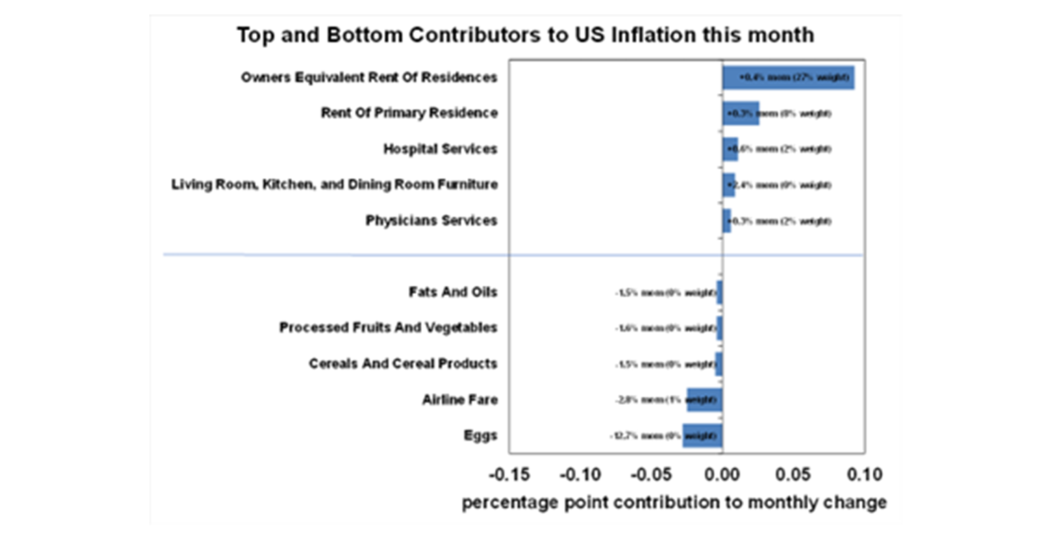 top-and-bottom-contributors-to-us-inflation
