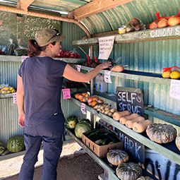 Person selecting produce from shelves at a small roadside market stall.