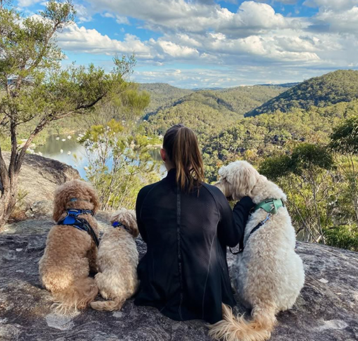 A person sits on a rocky outcrop with three small dogs, overlooking a scenic valley filled with trees and a river under a partly cloudy sky.