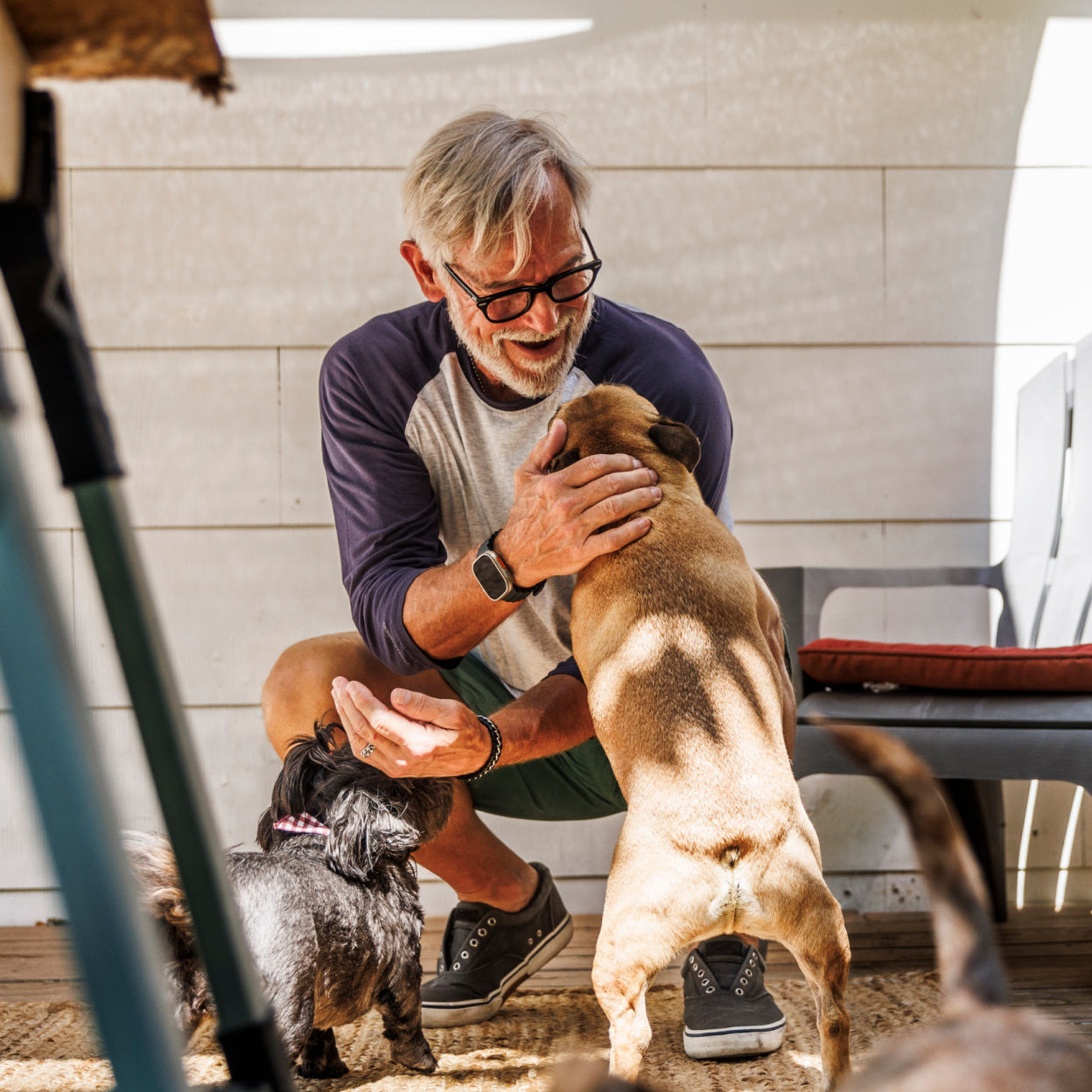 Man playing with pet dogs