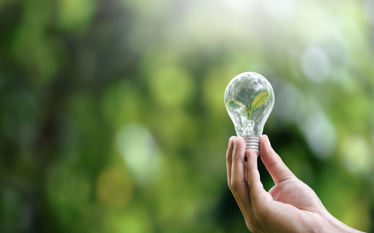 A hand holding a light bulb against a vibrant green nature background