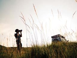 small_landscape_image_1
