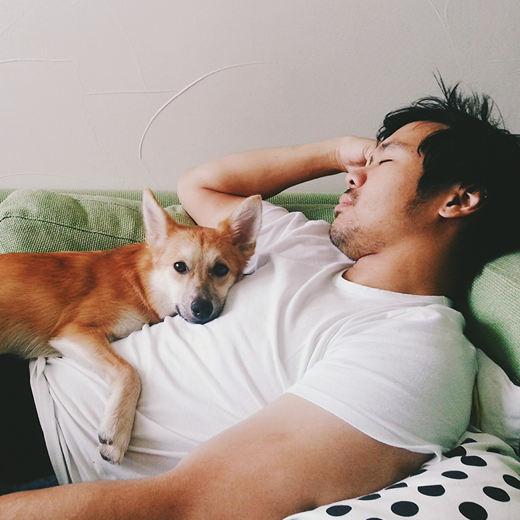 A young man lying on the couch with a small dog resting on his chest