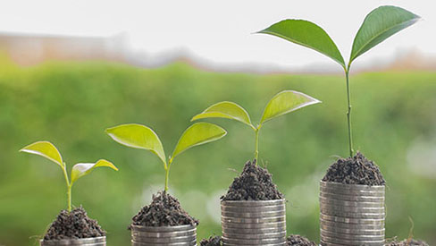 Plant Invest Saving